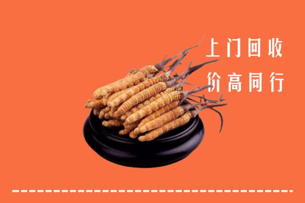 高价求购：咸宁赤壁回收散虫草