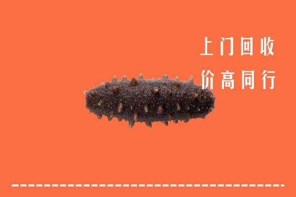 高价求购：咸宁赤壁回收海参